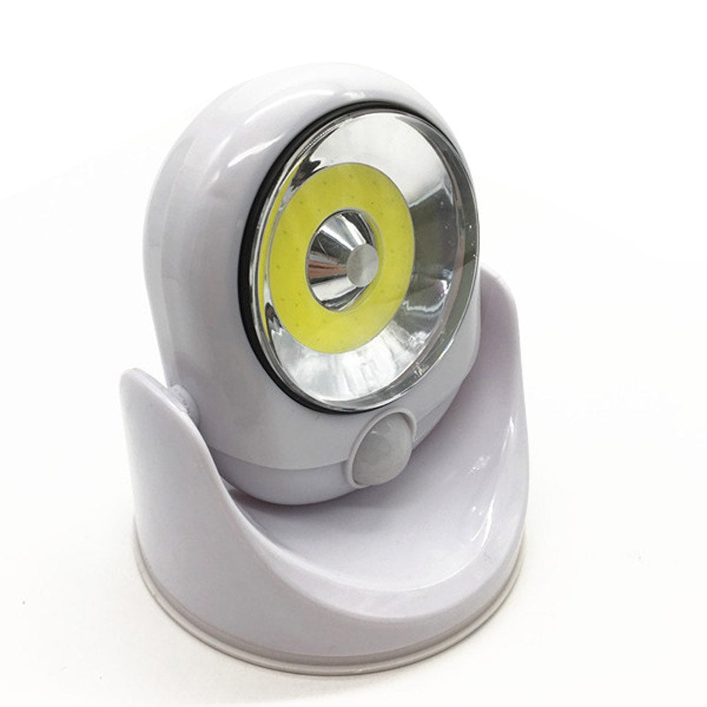 LumiGuard Motion Sensor LED Security Light