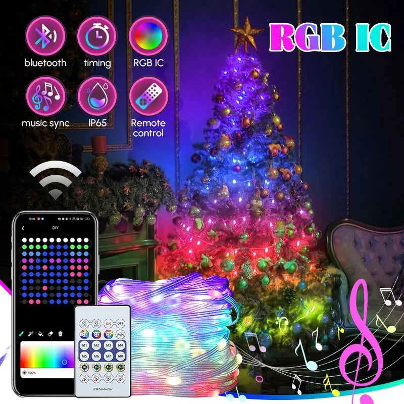 RGBIC Music String Lights
