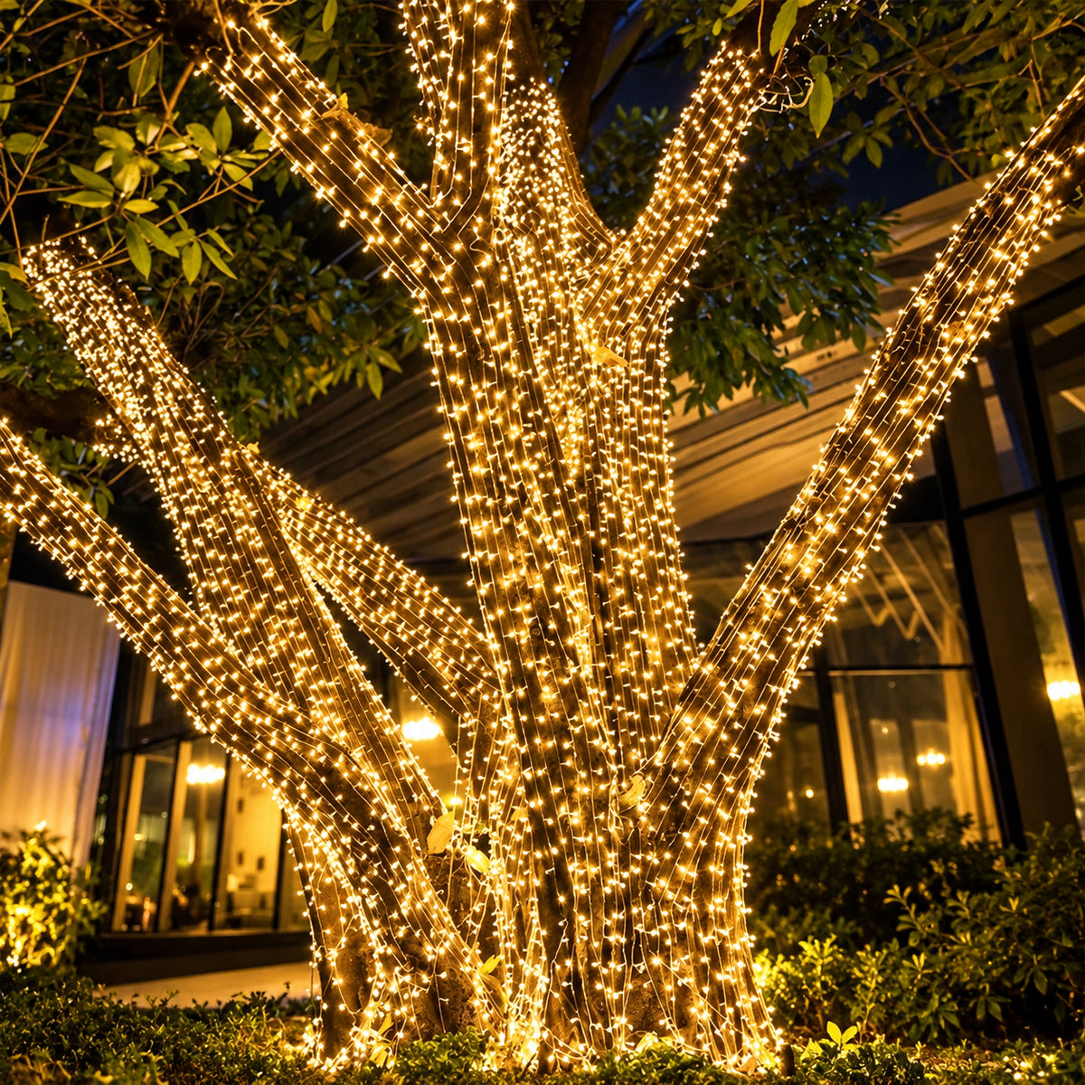 Solar Garden String Lights