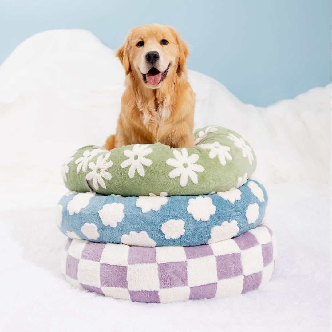 Quality Round Donut Dog Bed with Plush Cushion