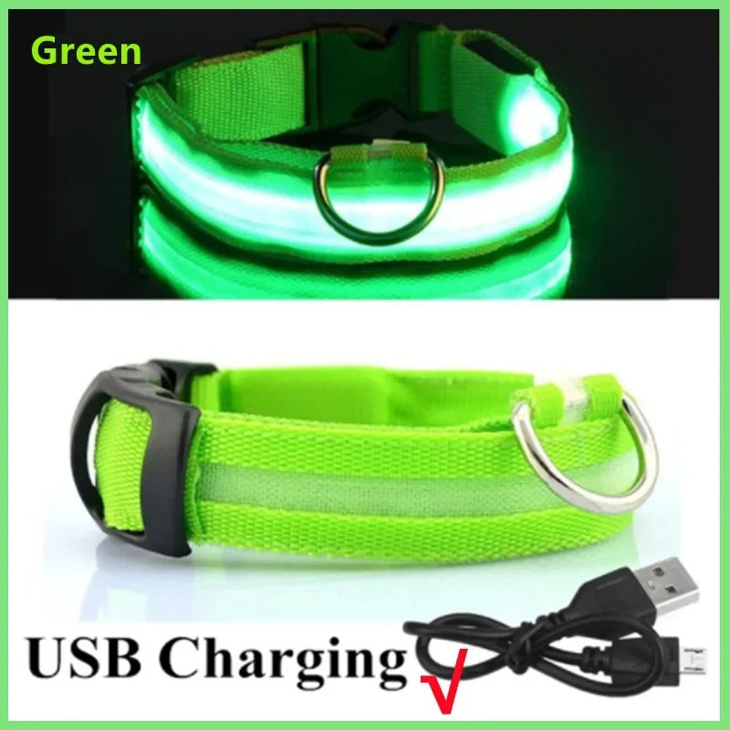 LED Rechargeable Pet Collar – Glow Safety Collar for Dogs & Cats