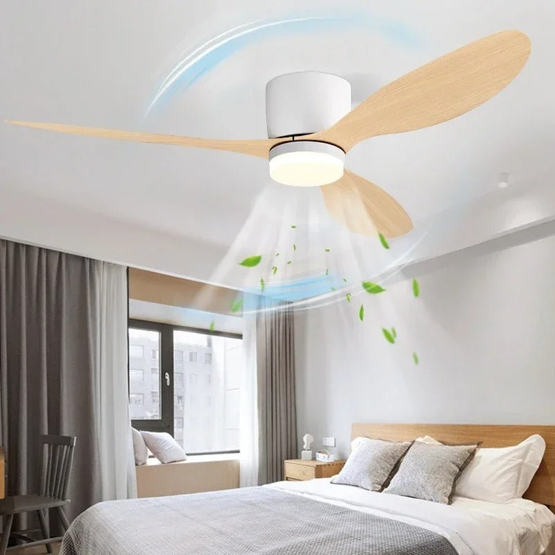 Modern LED Ceiling Fan Lights