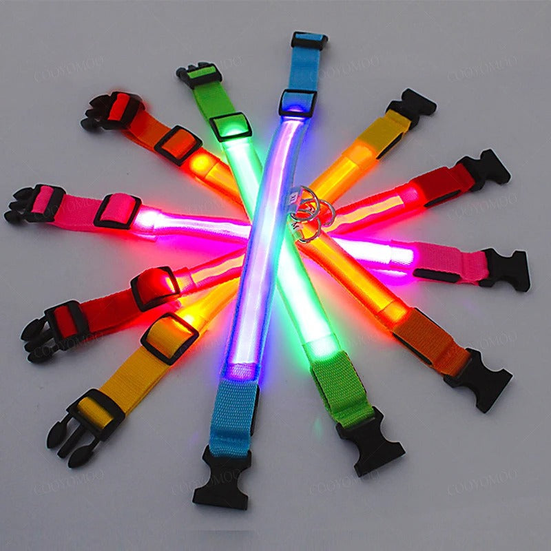 LED Rechargeable Pet Collar – Glow Safety Collar for Dogs & Cats