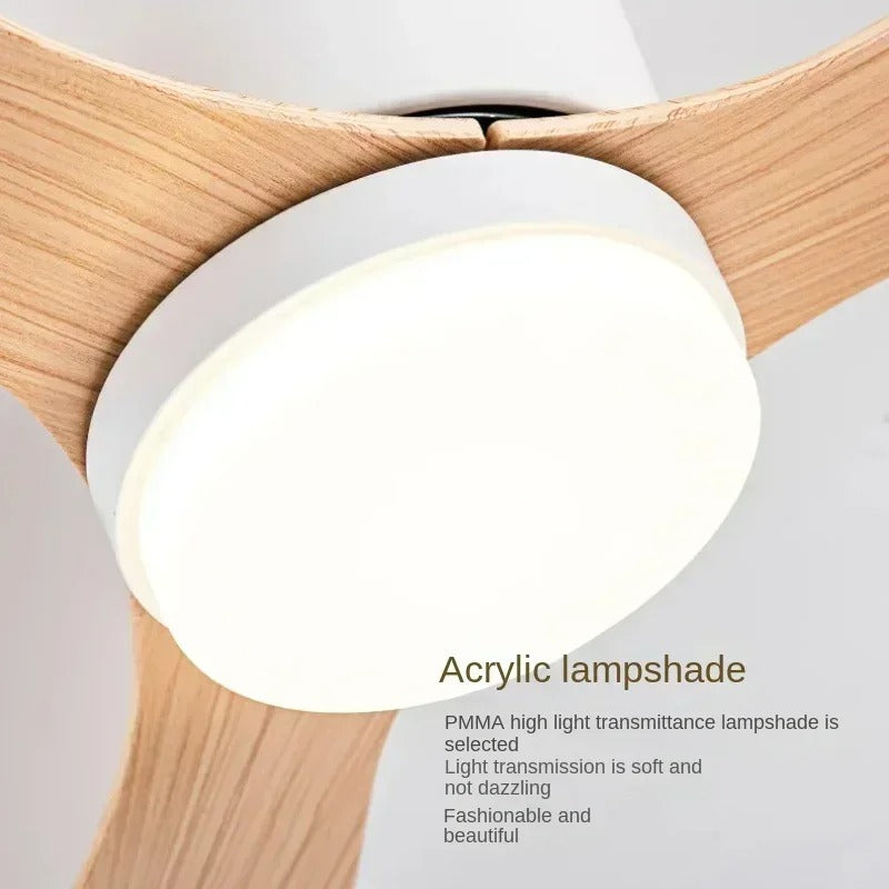 Modern LED Ceiling Fan Lights