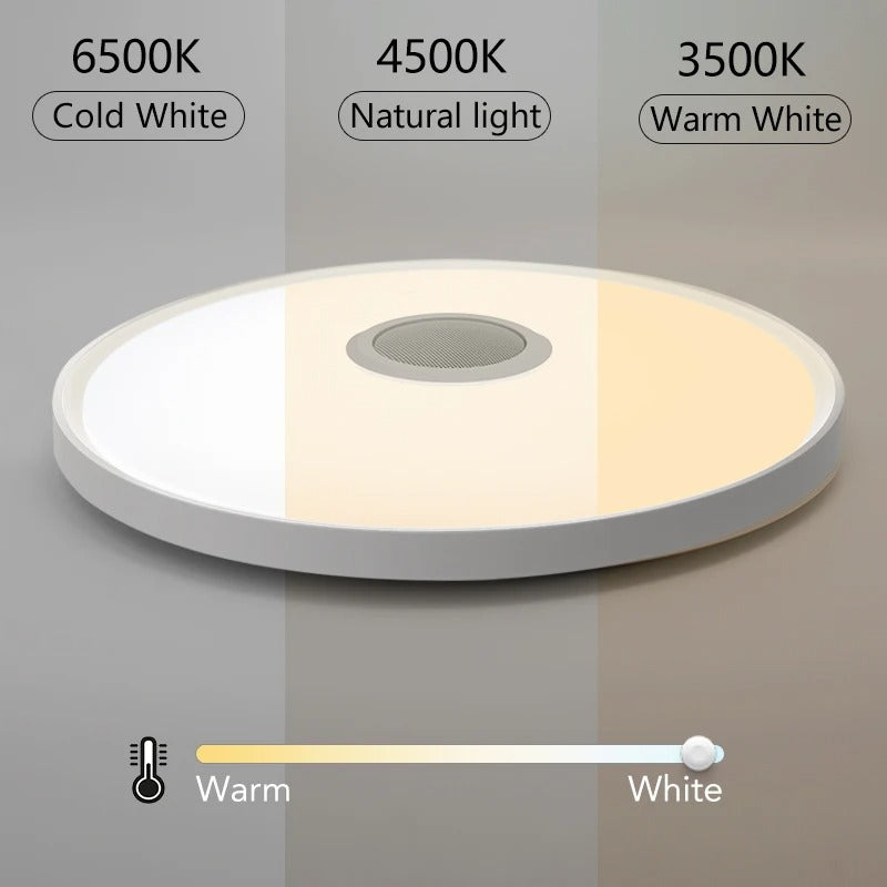 Smart RGB Ceiling Light
