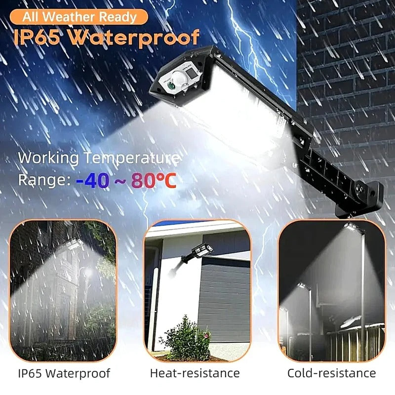 Solar Motion Flood Wall Light