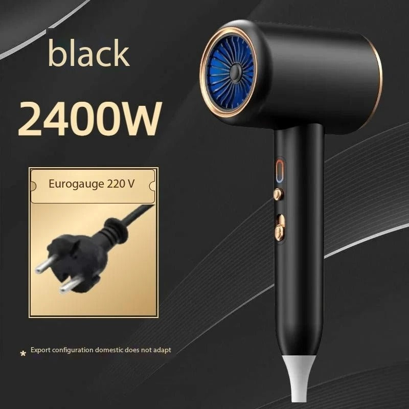 2400W Professional Ionic Hair Dryer with Hot Cold Air