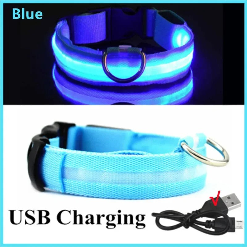 LED Rechargeable Pet Collar – Glow Safety Collar for Dogs & Cats