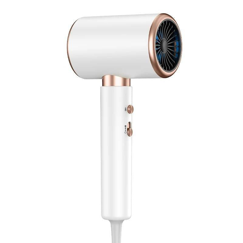 2000W Professional Ionic Hair Dryer with Cool Shot

