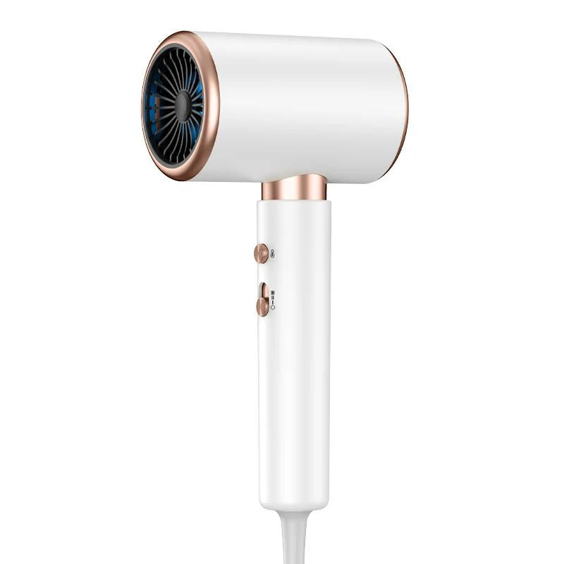 2000W Professional Ionic Hair Dryer with Cool Shot
