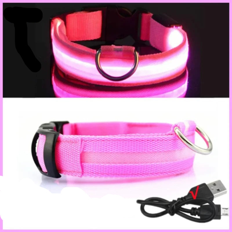 LED Glog Collar – Uw DoSB Rechargeable | 3 Light Modes | Detachable & Adjustable for Night Safety