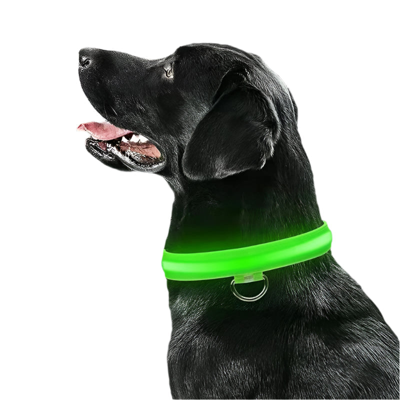 LED Rechargeable Pet Collar – Glow Safety Collar for Dogs & Cats