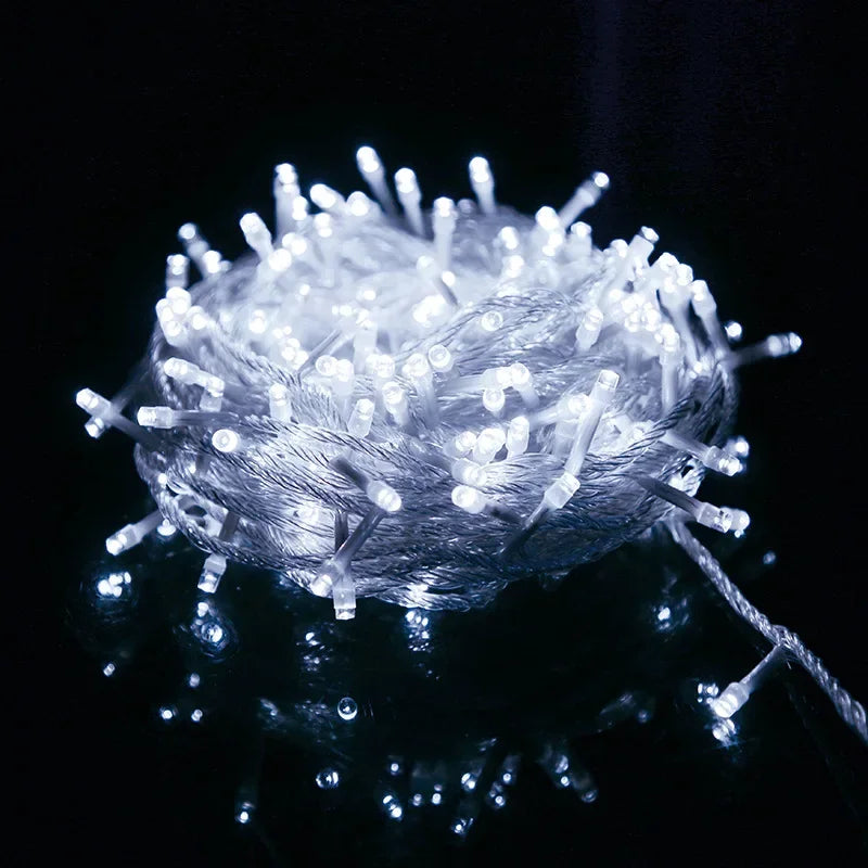Long Outdoor Fairy Lights - cold white / 100m(800leds)