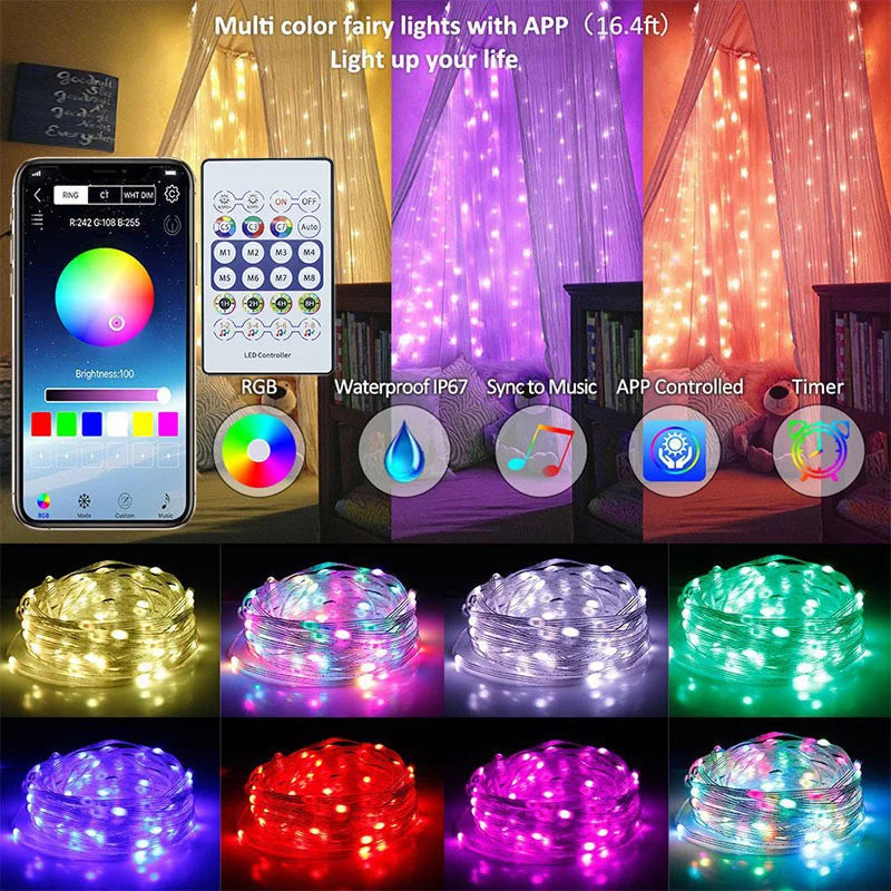 RGBIC Music String Lights