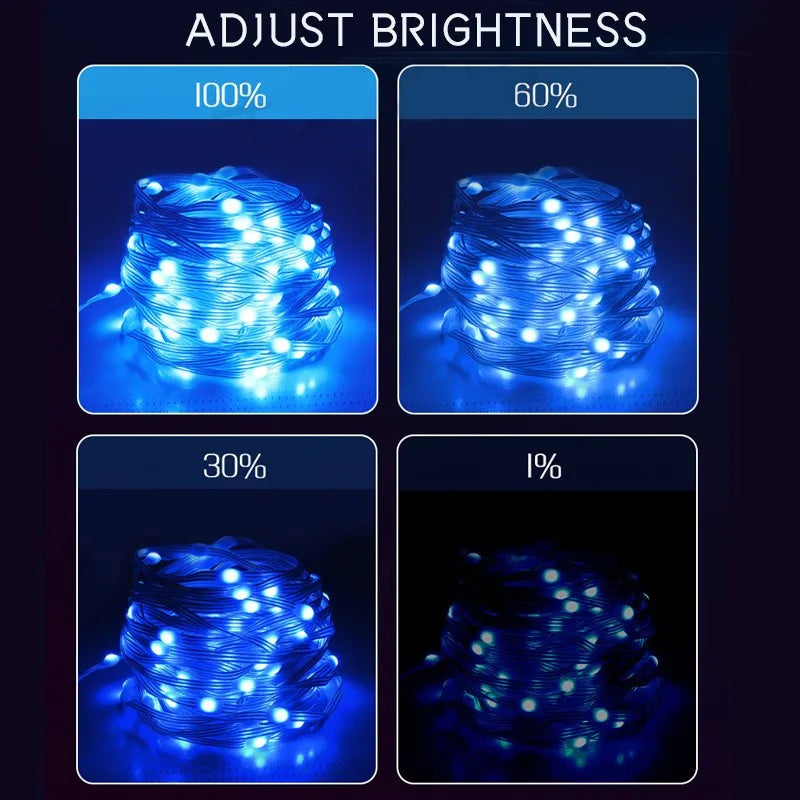 RGBIC Music String Lights