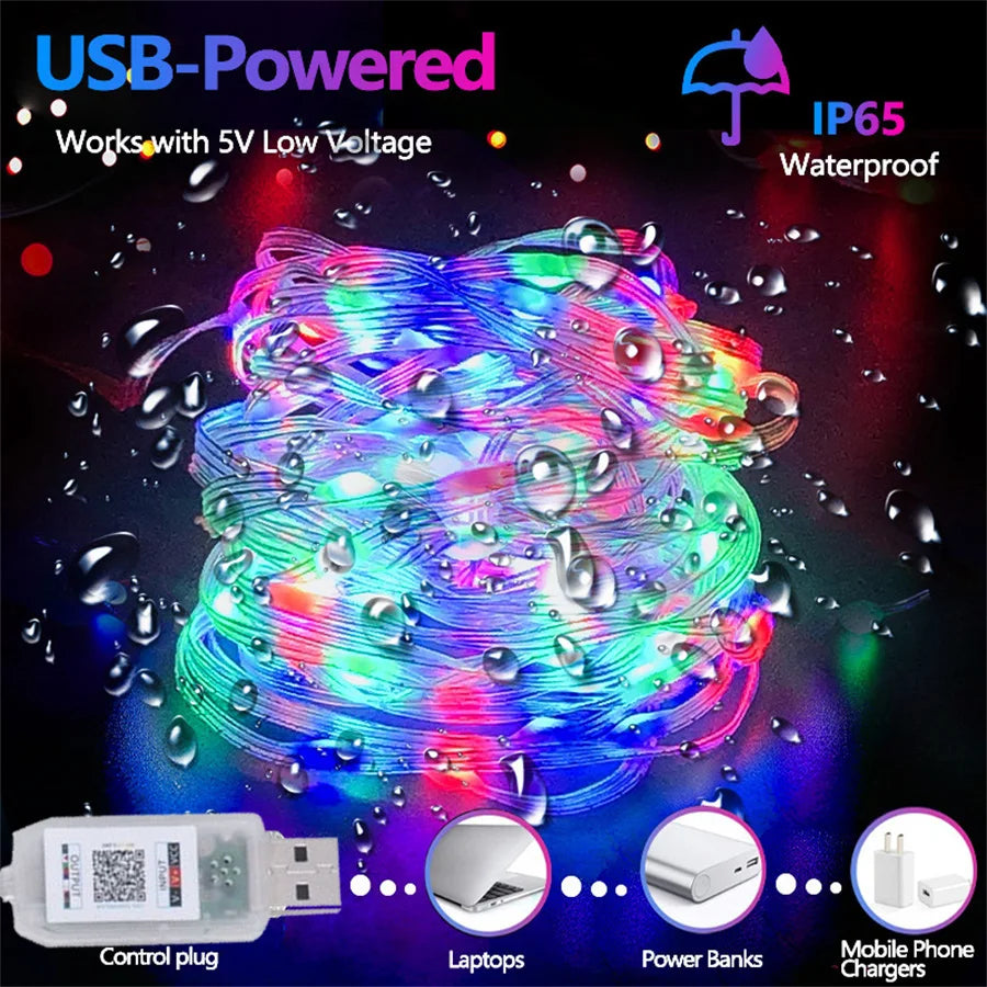 RGBIC Music String Lights