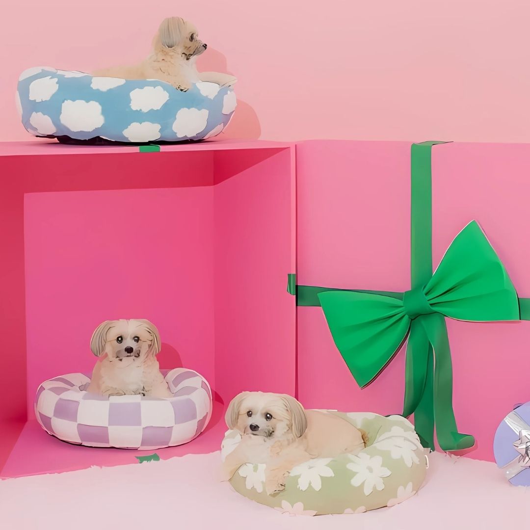 Quality Round Donut Dog Bed with Plush Cushion