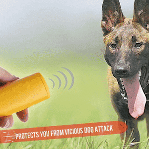 3 in 1 Dog Training Anti-Barking Device Safe