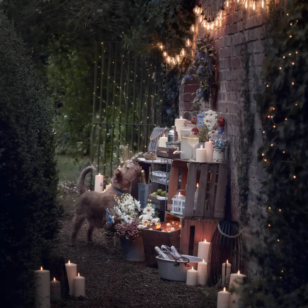 Solar Powered Fairy Lights – Outdoor LED String Lights