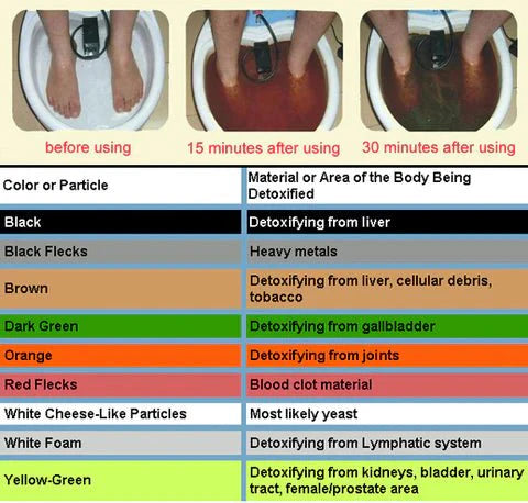 Ion Pure - Ionic Detox Foot Bath - Gear Elevation