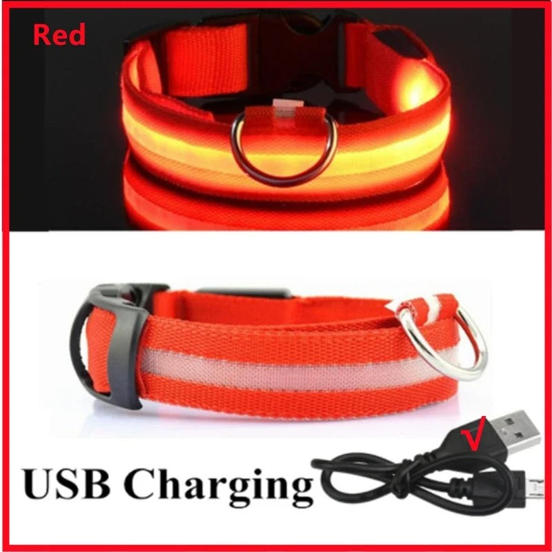 LED Rechargeable Pet Collar – Glow Safety Collar for Dogs & Cats