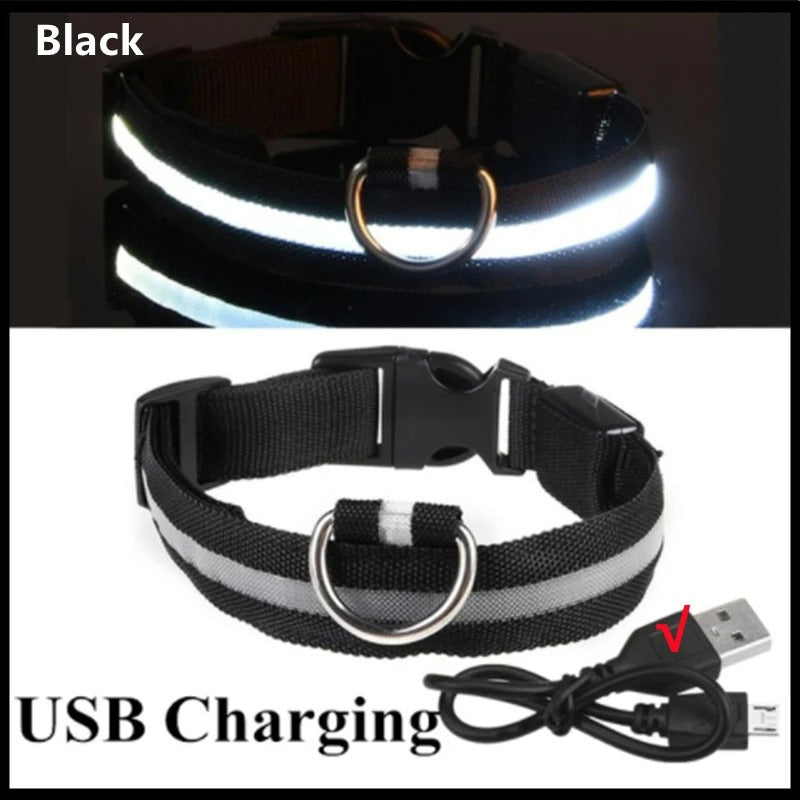 LED Rechargeable Pet Collar – Glow Safety Collar for Dogs & Cats