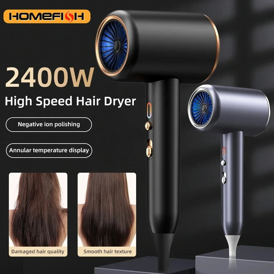 2400W Professional Ionic Hair Dryer with Hot Cold Air