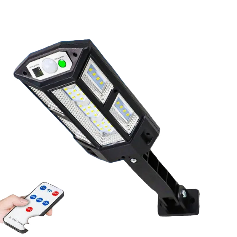 Solar Motion Flood Wall Light