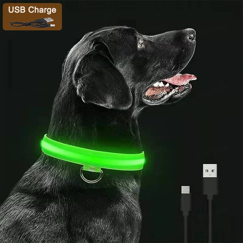 LED Rechargeable Pet Collar – Glow Safety Collar for Dogs & Cats