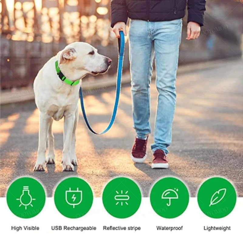 LED Rechargeable Pet Collar – Glow Safety Collar for Dogs & Cats