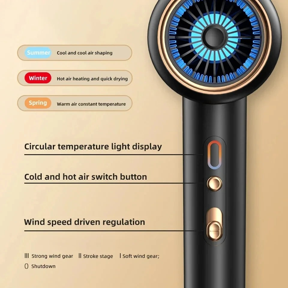 2400W Professional Ionic Hair Dryer with Hot Cold Air