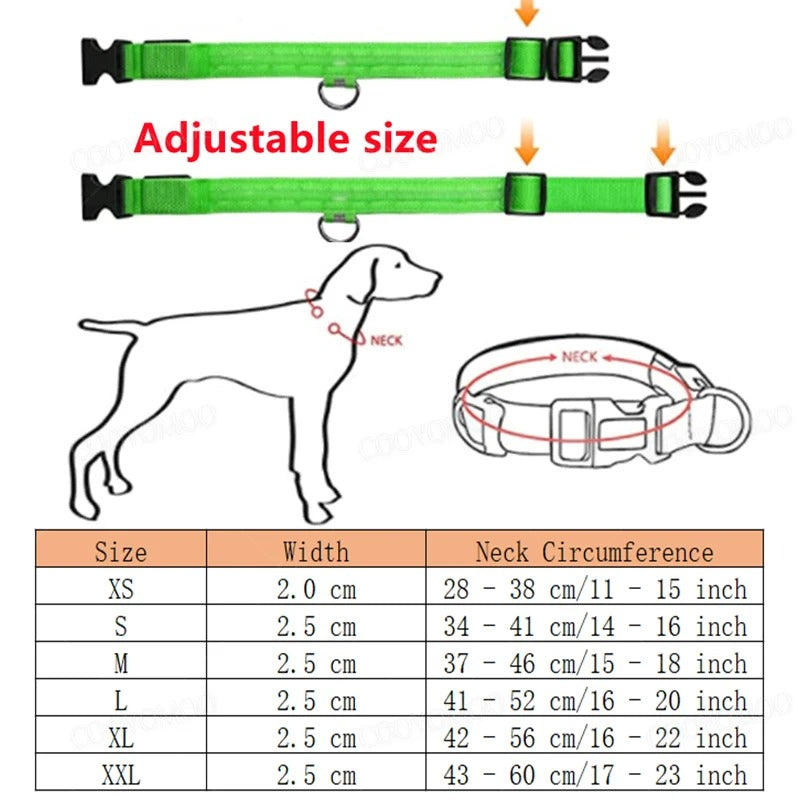 LED Rechargeable Pet Collar – Glow Safety Collar for Dogs & Cats
