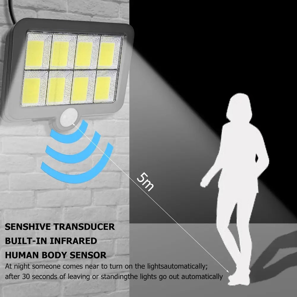 Split Solar Motion Wall Light