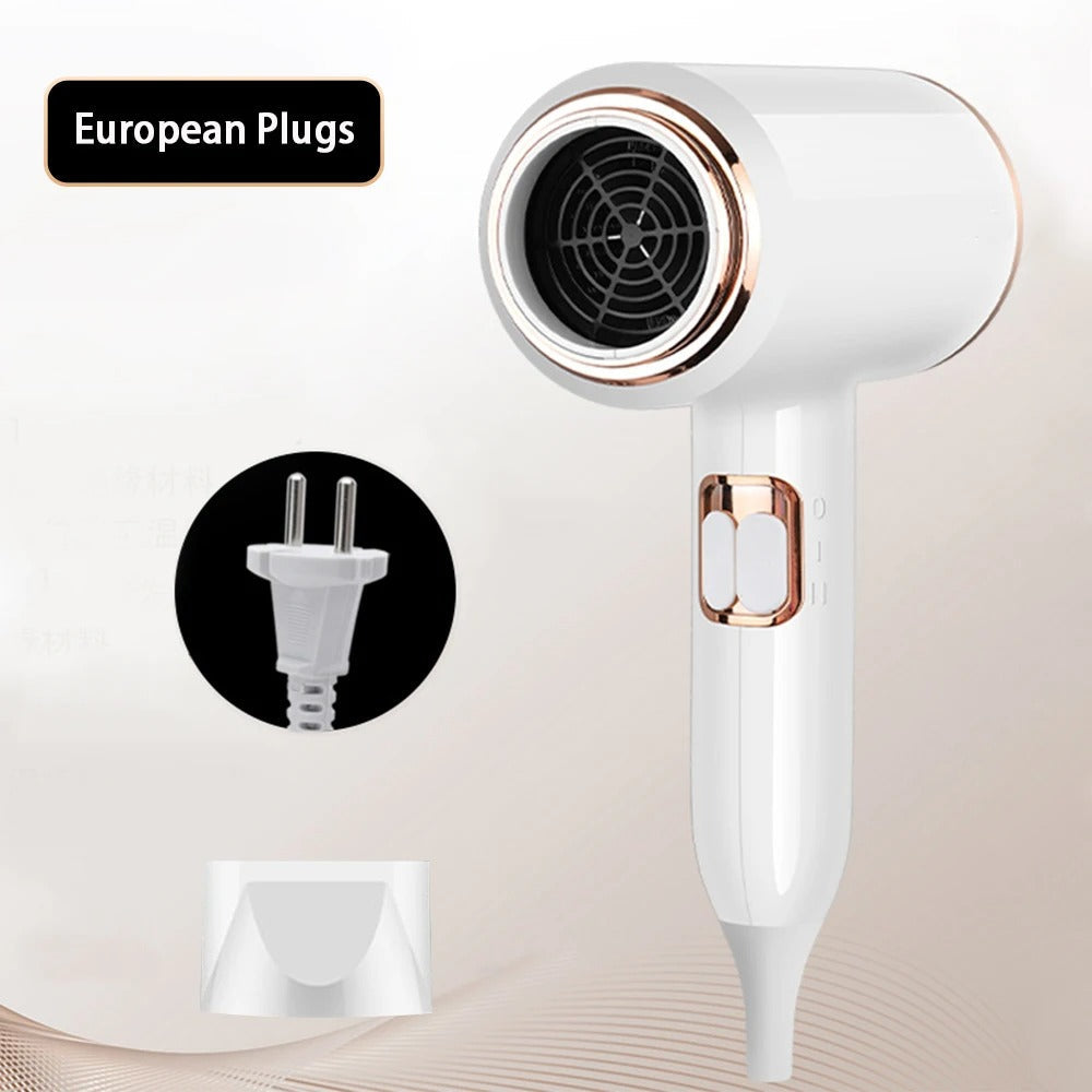 2400W Professional Ionic Hair Dryer with Hot Cold Air
